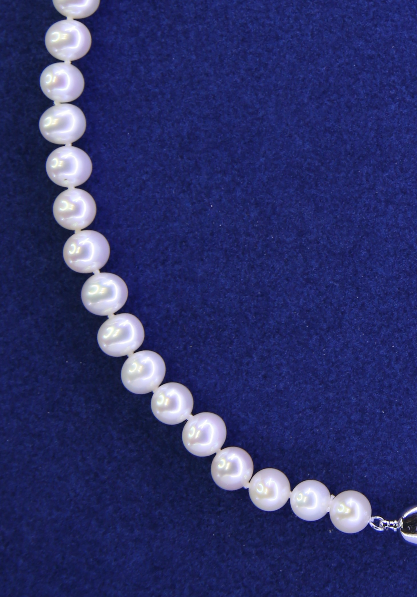 WANG’S Pearl Chain